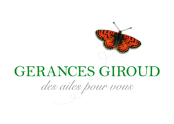 Gérances Giroud SA - 2 PIECES - Avec une belle terrasse !